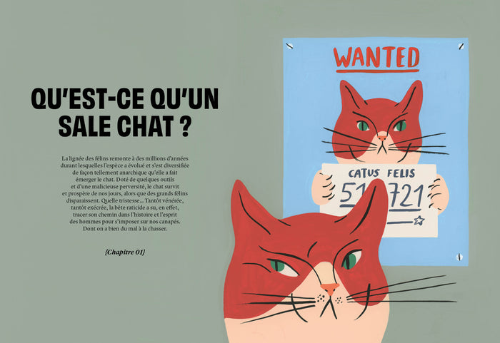Saloperie de chat
