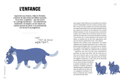 Saloperie de chat