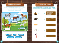 Mystères et intrigues au Galop