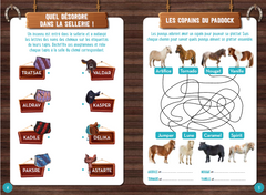 Enigmes et casse-têtes au galop