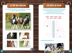 Enigmes et casse-têtes au galop