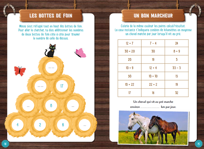 Enigmes et casse-têtes au galop