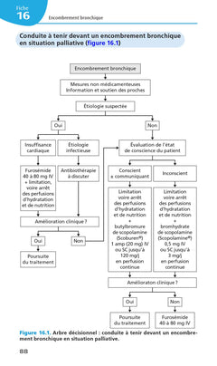 Guide de soins palliatifs