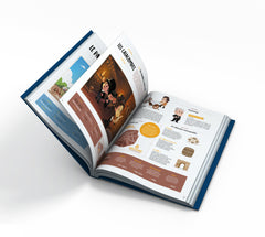 Paris l'histoire de ses monuments