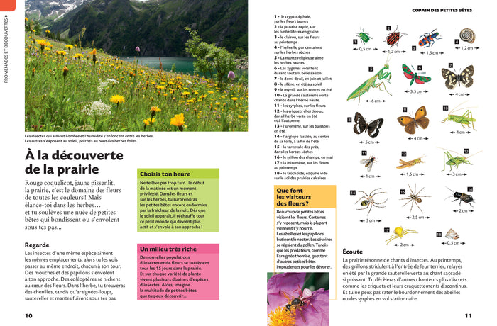 Copain des petites bêtes: Le guide des petits entomologistes