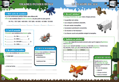 Fans de Minecraft &co - Cahier de vacances du CM2 à la 6e