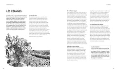 La petite encyclopédie Hachette des vins