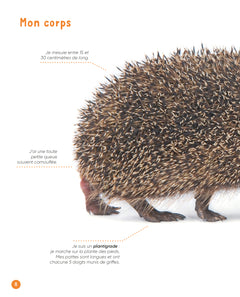 Vis ma vie de hérisson