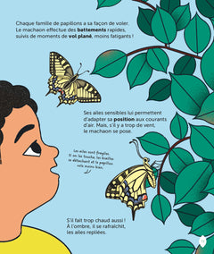 Le papillon