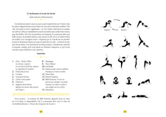 Yoga - Recueil de séances