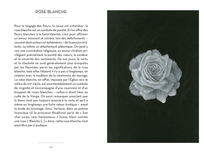 Le petit livre des roses