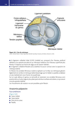 Guide de traumatologie en médecine d'urgence