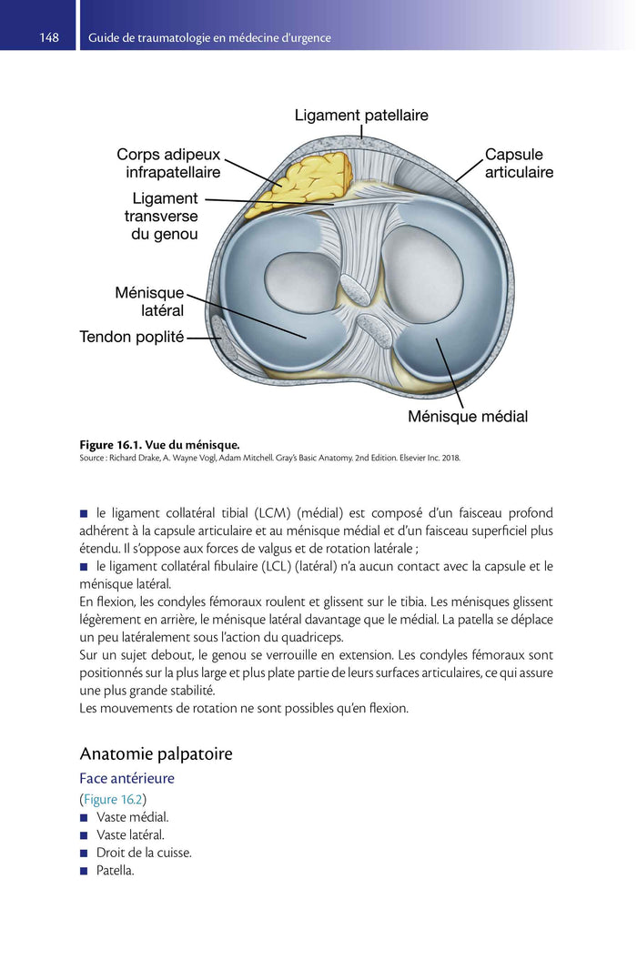 Guide de traumatologie en médecine d'urgence