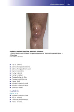 Guide de traumatologie en médecine d'urgence