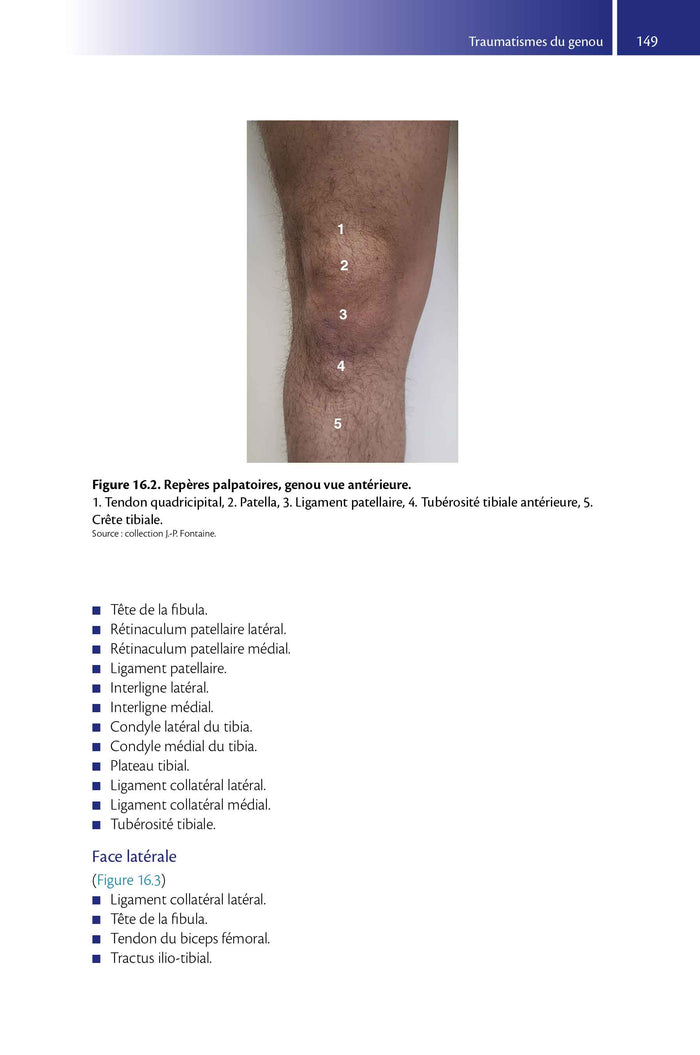 Guide de traumatologie en médecine d'urgence