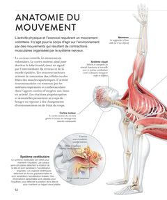 La science du stretching