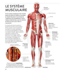 La science du stretching