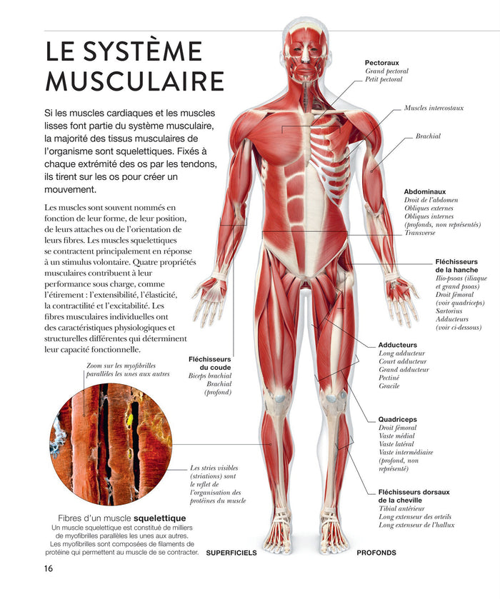 La science du stretching