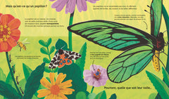 Regarde-moi grandir : le papillon