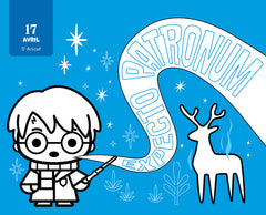 Harry Potter Mon année à colorier