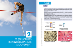 Mémo visuel de physiologie des activités physiques et sportives
