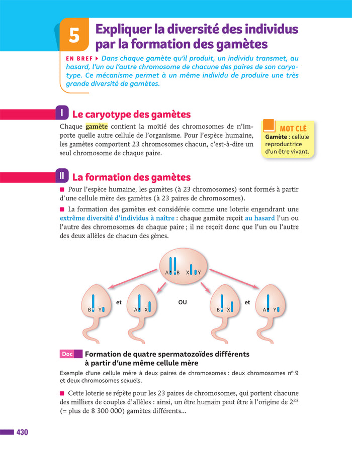 Prépabrevet - Tout le nouveau brevet 2026 - 3e (toutes les matières)