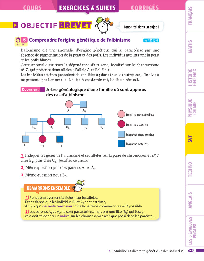 Prépabrevet - Tout le nouveau brevet 2026 - 3e (toutes les matières)