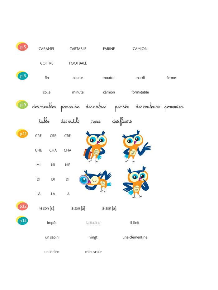 Lecture CE1 - Cahier de soutien nouveau programme