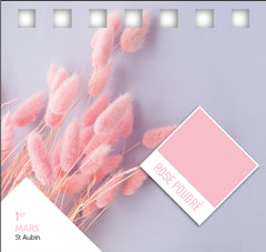 Calendrier 365 jours en rose