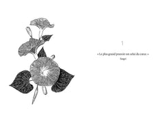 42 oracles chamaniques