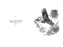 42 oracles chamaniques