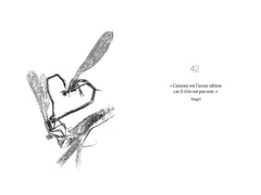 42 oracles chamaniques