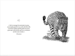 42 oracles chamaniques