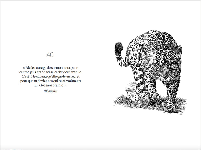 42 oracles chamaniques