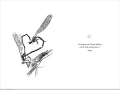 42 oracles chamaniques