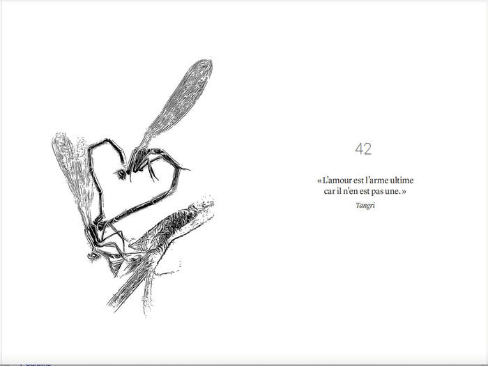 42 oracles chamaniques