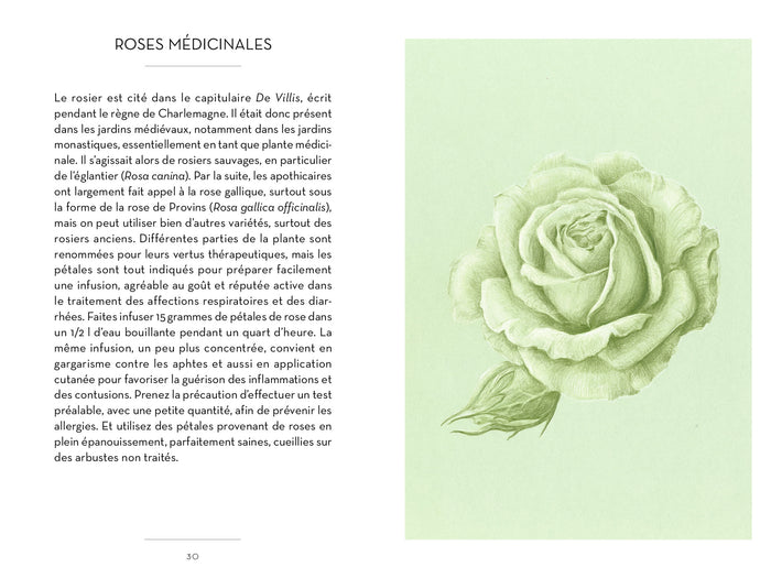 Le petit livre des roses