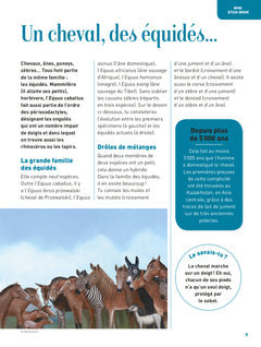 Passion cheval - L'encyclo