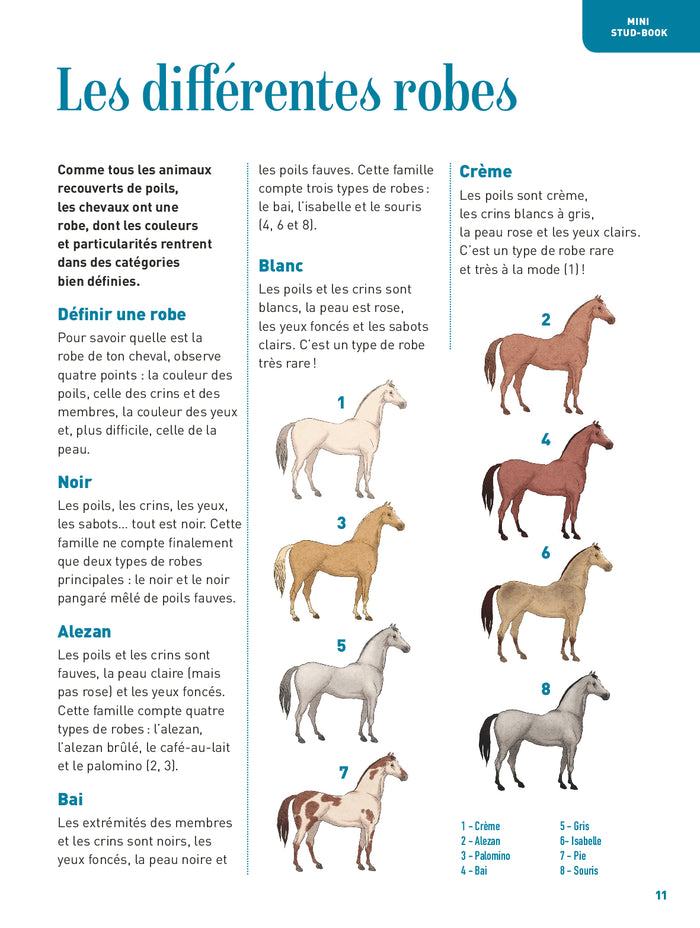 Passion cheval - L'encyclo