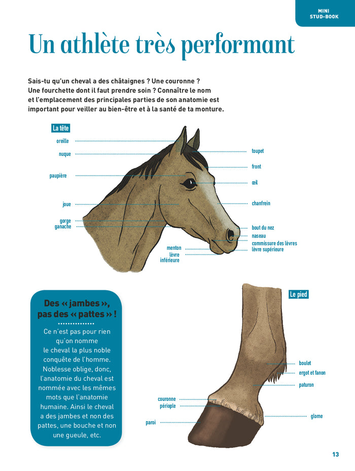 Passion cheval - L'encyclo