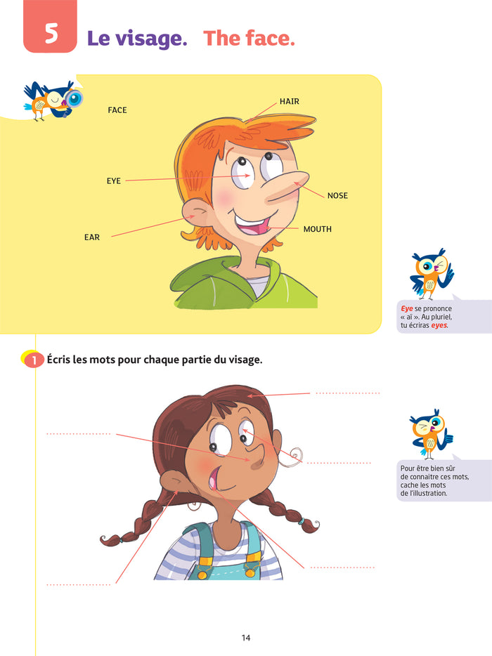 Anglais CE1 - Cahier de soutien nouveau programme