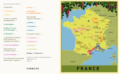 Le nouveau vin français