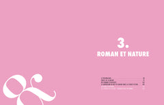 Une histoire du roman
