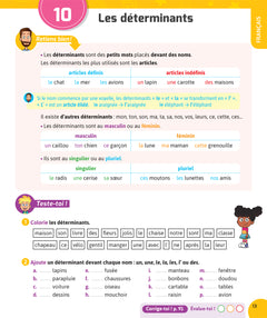 Français et Maths CE1 - Nouveau programme - Cahier de soutien avec des vidéos