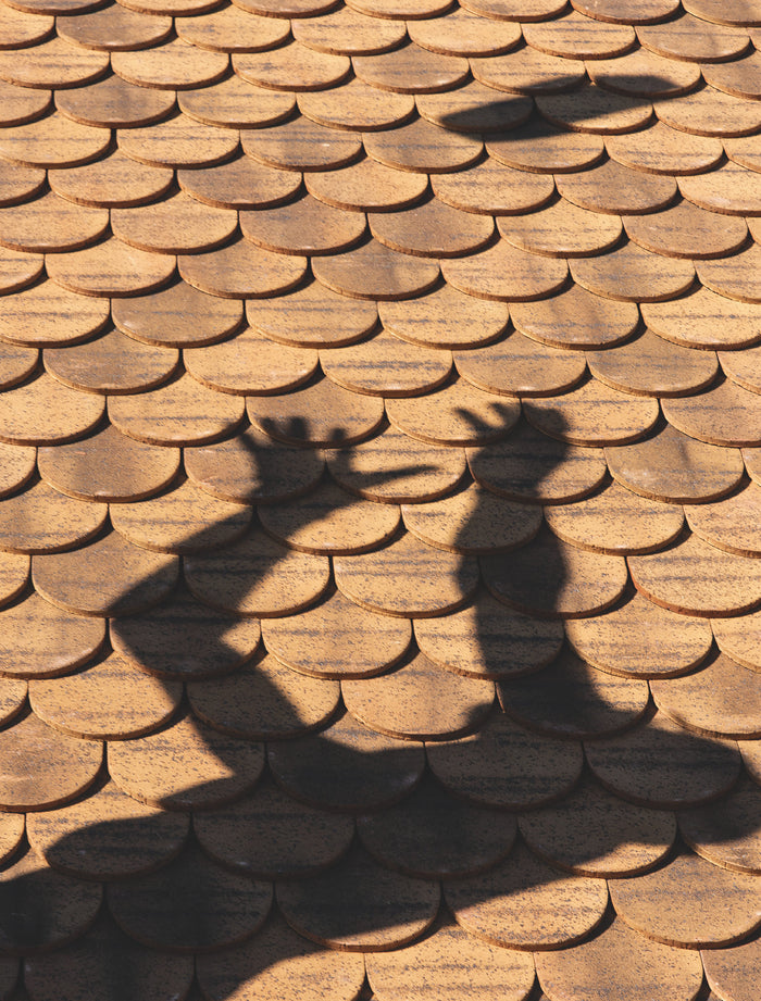 L'Alpe 109 - Artisans et métiers d'art