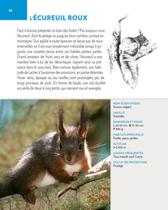 Animaux des montagnes