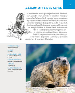 Animaux des montagnes