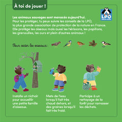 Petit ours brun se promène en forêt