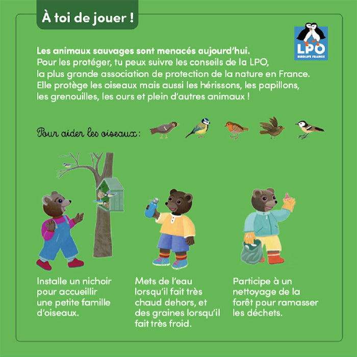 Petit ours brun se promène en forêt