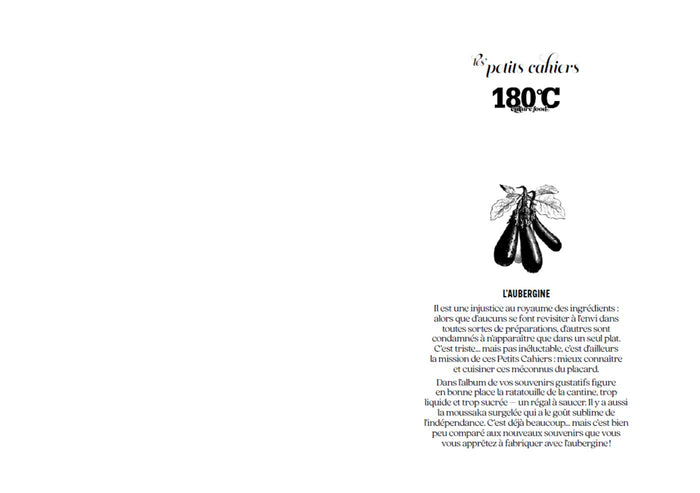 Les petits cahiers 180°C - Aubergine